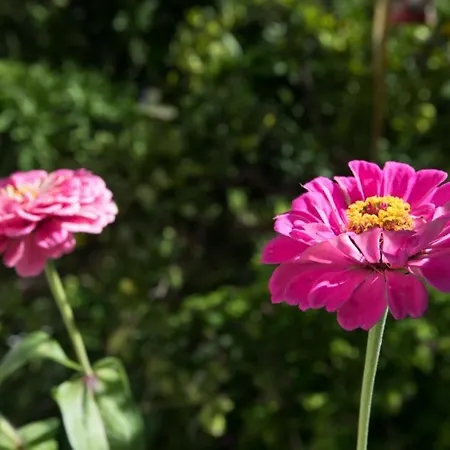 Appartamento In Stupin Celine With Sea View, Terrace, Air Conditioning Wifi 5149-2