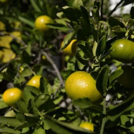 Lejlighed In Stupin Celine With Sea View, Terrace, Air Conditioning Wifi 5149-2 *