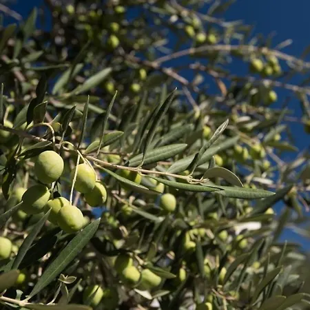 In Stupin Celine With Sea View, Terrace, Air Conditioning Wifi 5149-2 *