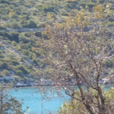 Apartment In Stupin Celine With Sea View, Terrace, Air Conditioning Wifi 5149-2 Podglavica