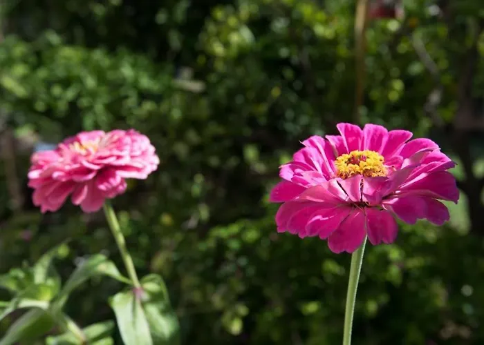 Appartement In Stupin Celine With Sea View, Terrace, Air Conditioning Wifi 5149-2