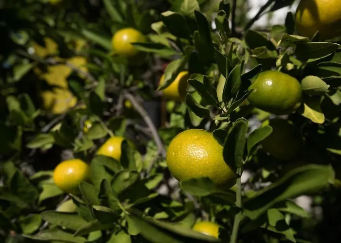 Appartement In Stupin Celine With Sea View, Terrace, Air Conditioning Wifi 5149-2 *