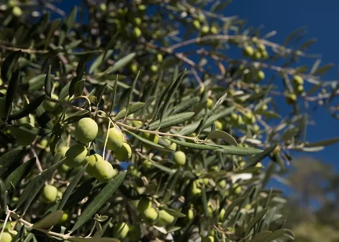 In Stupin Celine With Sea View, Terrace, Air Conditioning Wifi 5149-2 *